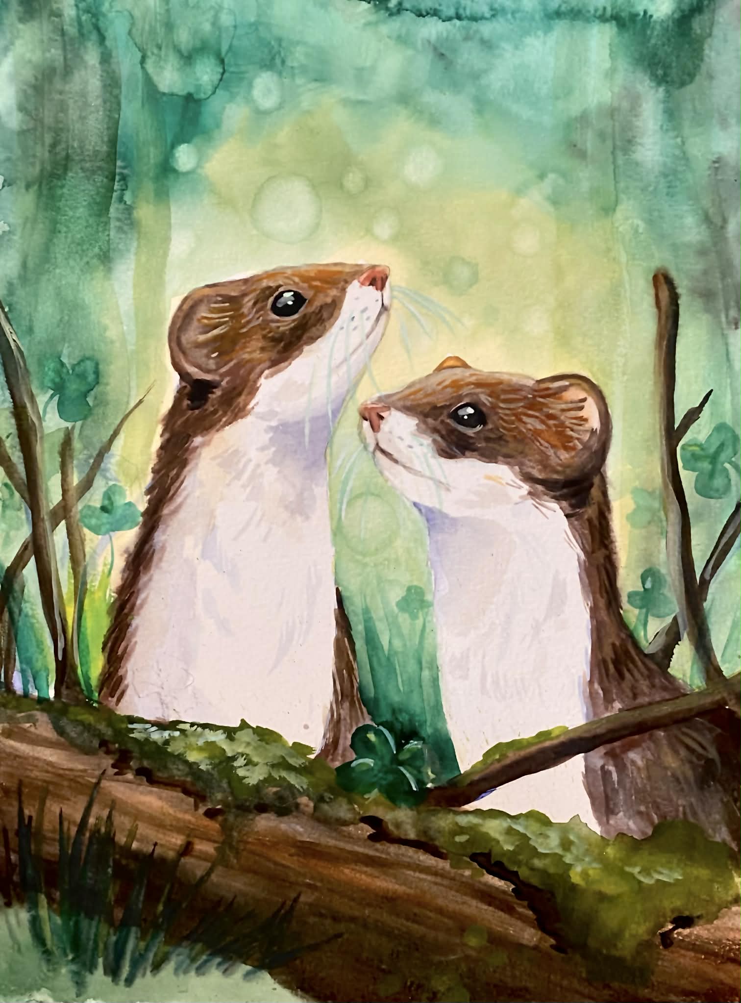 Curious Stoats-Watercolour Art Print