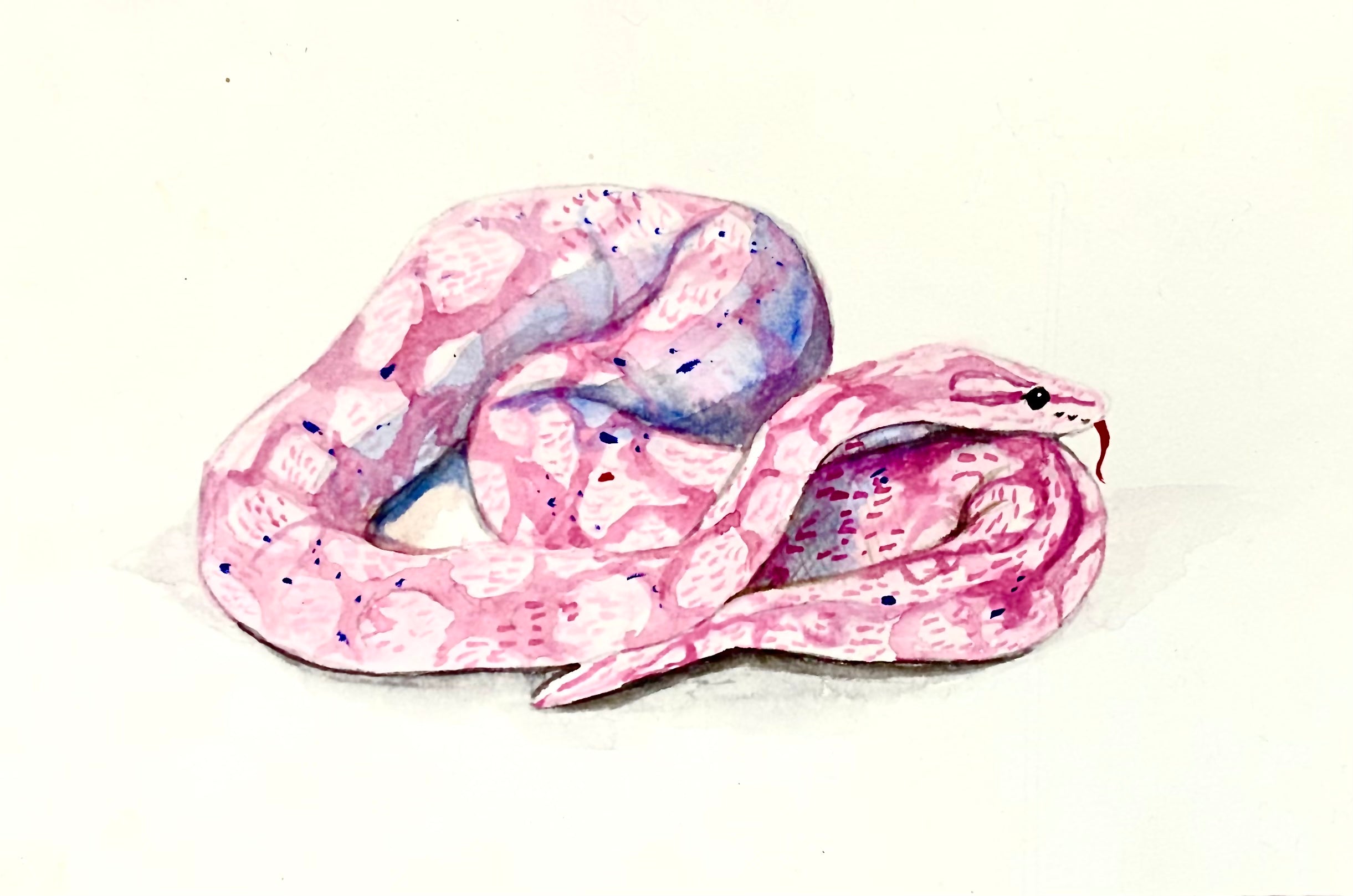 Sassy Pink Snake — Watercolour Art Print